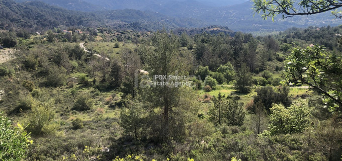 Residential field for sale in Limassol