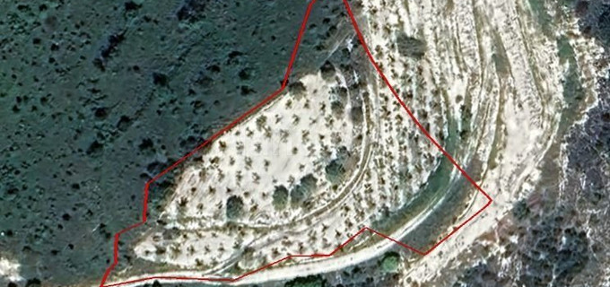 Agricultural field for sale in Paphos