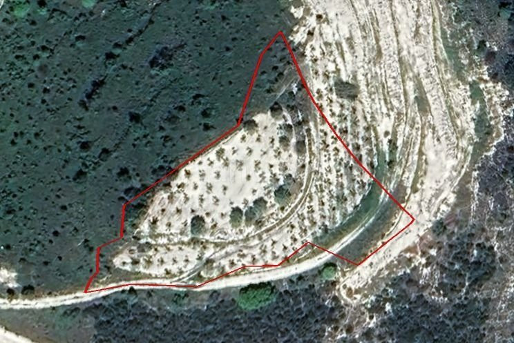 Landwirtschaftliches Baugebiet in Paphos zu verkaufen