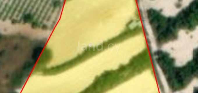 Campo agrícola a la venta en Paphos