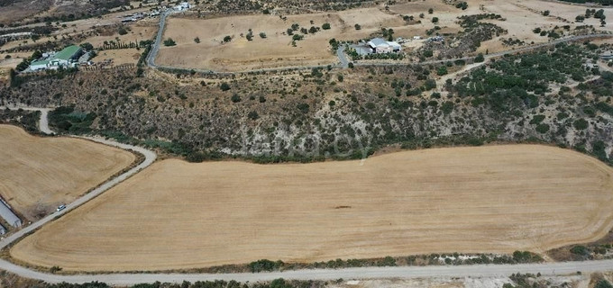 Agricultural field for sale in Larnaca