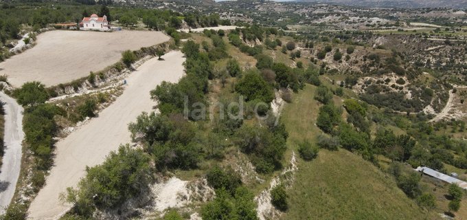 Landwirtschaftliches Baugebiet in Paphos zu verkaufen