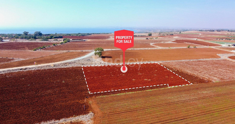 Agricultural field for sale in Larnaca