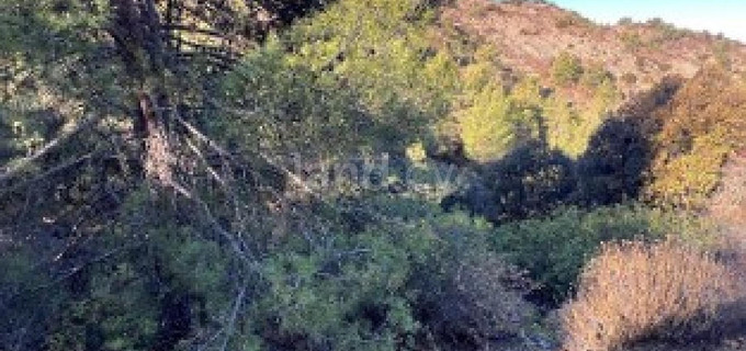 Landwirtschaftliches Baugebiet in Nicosia zu verkaufen