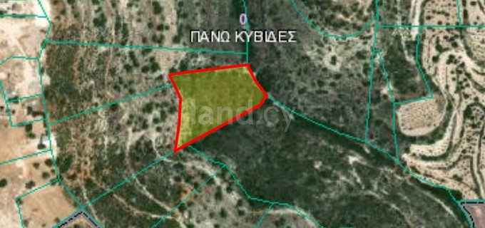 Agricultural field for sale in Limassol