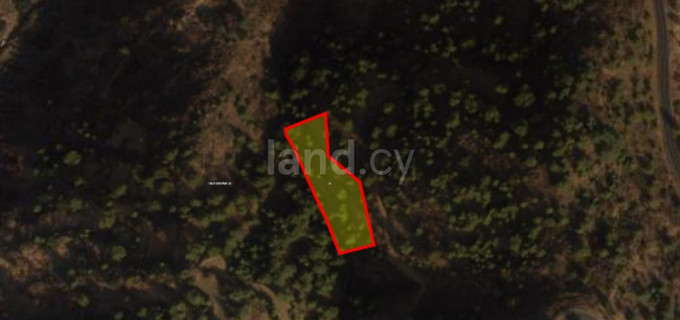 Residential plot for sale in Paphos