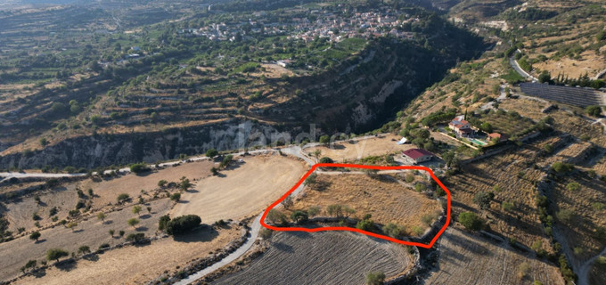 Αγροτικό αγροτεμάχιο προς πώληση - Λεμεσός