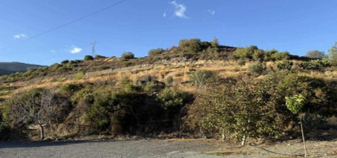 Agricultural field for sale in Limassol