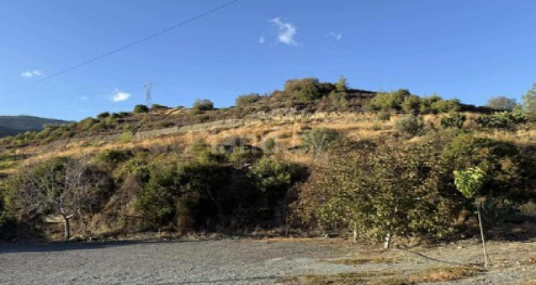 Agricultural field for sale in Limassol
