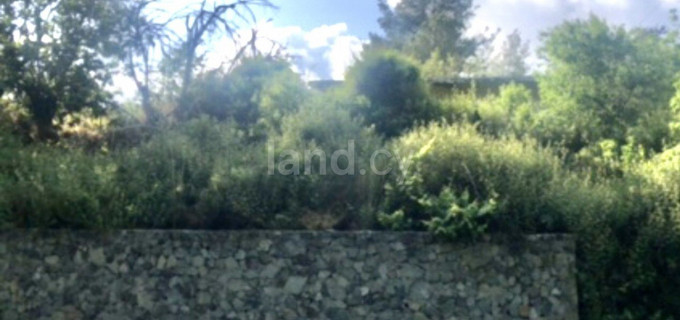 Residential field for sale in Limassol