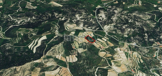 Terrain agricole à vendre à Limassol