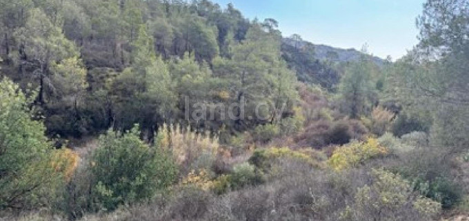 Agricultural field for sale in Larnaca