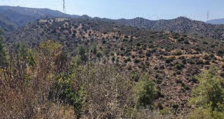 Agricultural field for sale in Larnaca