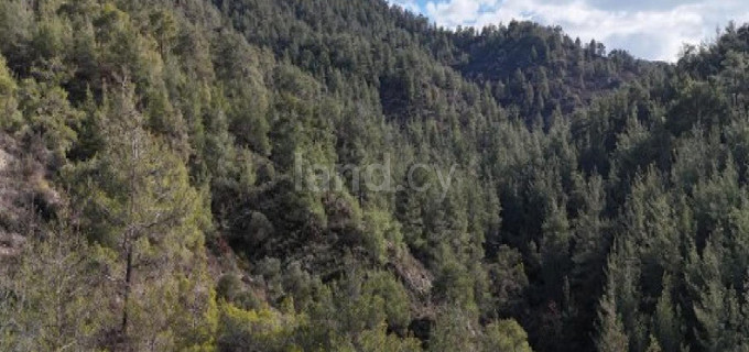 Agricultural field for sale in Larnaca
