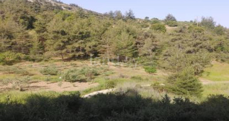 Terrain industriel à vendre à Paphos