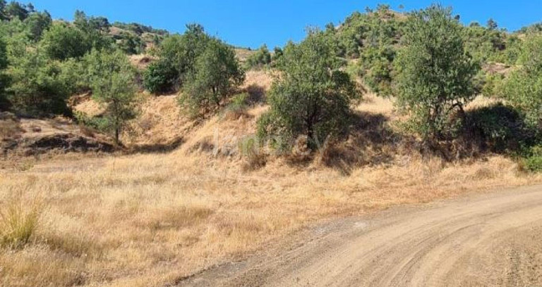 Αγροτικό αγροτεμάχιο προς πώληση - Λευκωσία