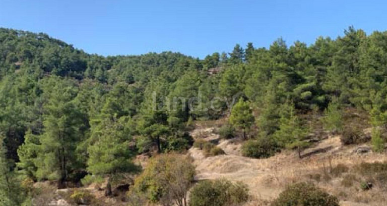 Agricultural field for sale in Nicosia