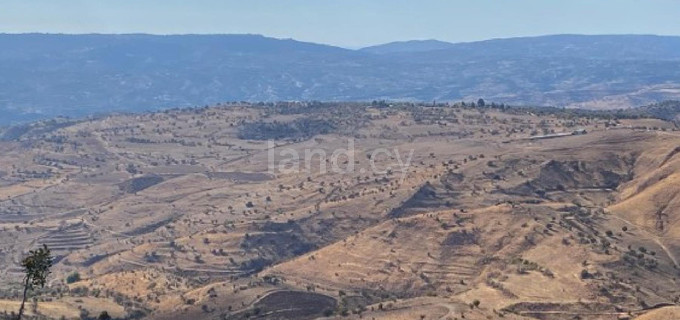 Campo agrícola a la venta en Paphos