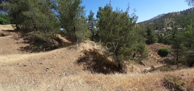 Landwirtschaftliches Baugebiet in Nicosia zu verkaufen