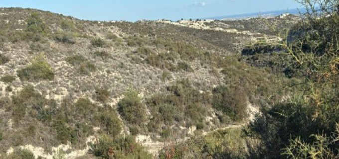 Agricultural field for sale in Larnaca