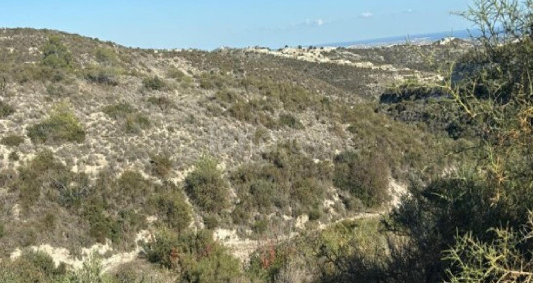 Agricultural field for sale in Larnaca