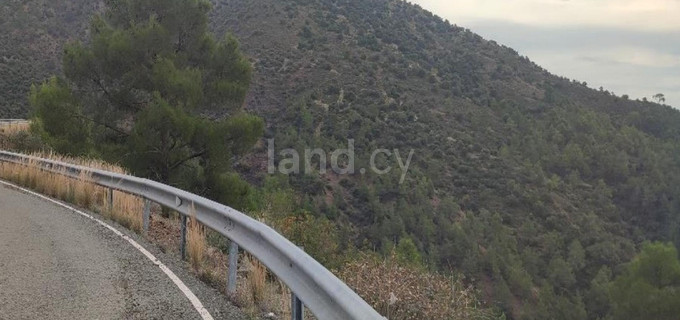 Agricultural field for sale in Larnaca