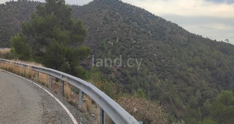 Agricultural field for sale in Larnaca