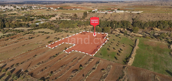 Agricultural field for sale in Nicosia