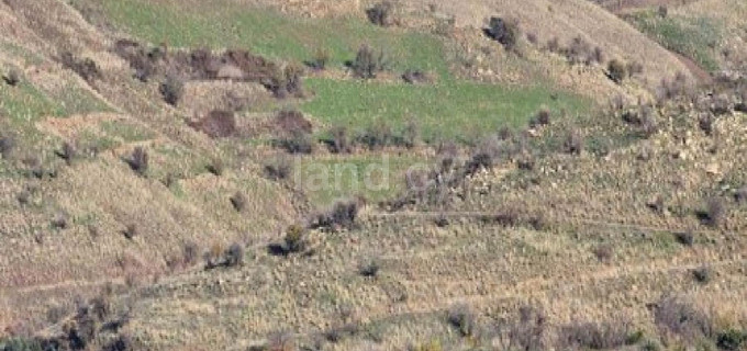 Agricultural field for sale in Paphos