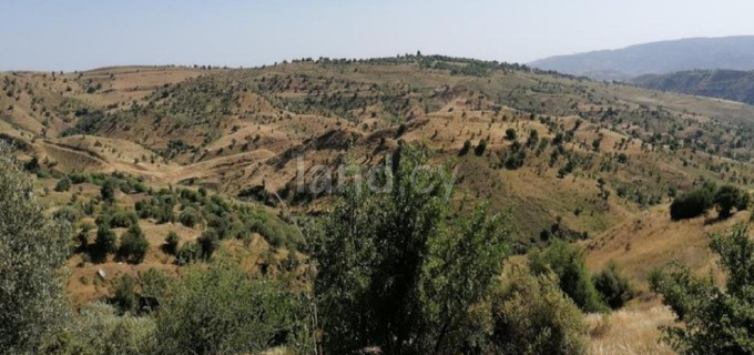 Campo agrícola a la venta en Paphos