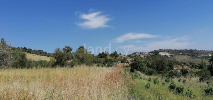 Landwirtschaftliches Baugebiet in Paphos zu verkaufen