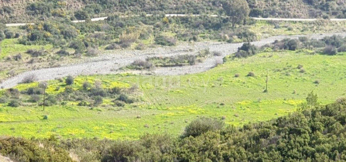Jordbruksfält till salu i Nicosia