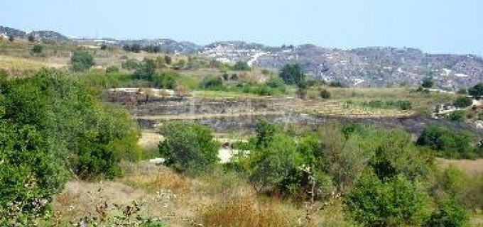 Residential field for sale in Paphos