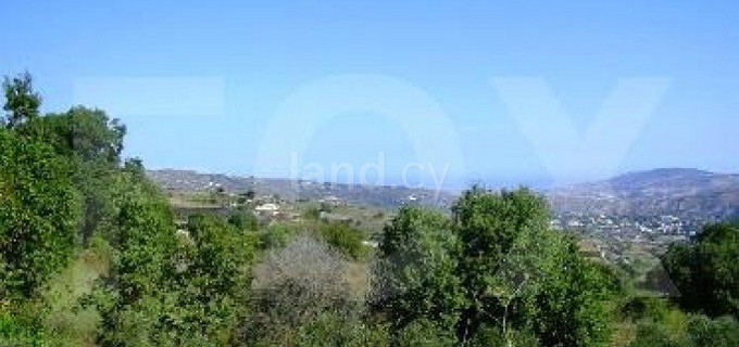 Residential field for sale in Paphos