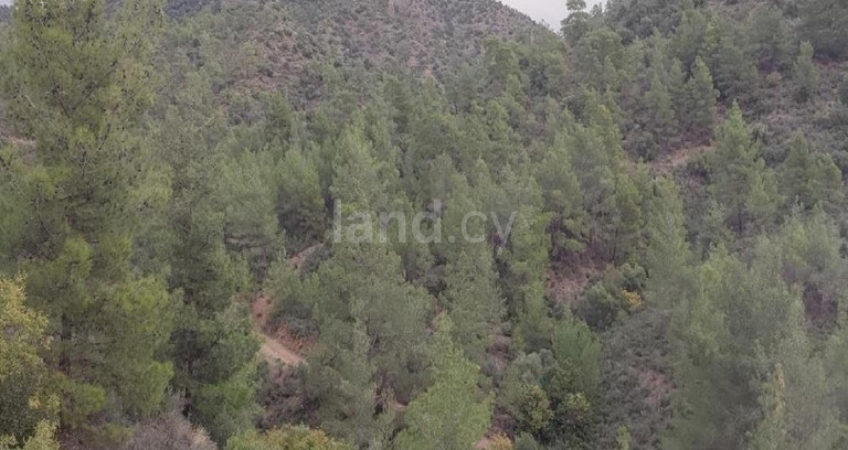 Agricultural field for sale in Larnaca