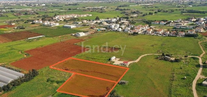 Agricultural field for sale in Frenaros