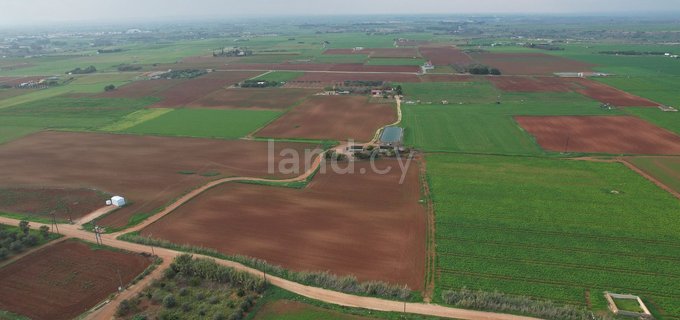 Campo agrícola a la venta en Avgorou