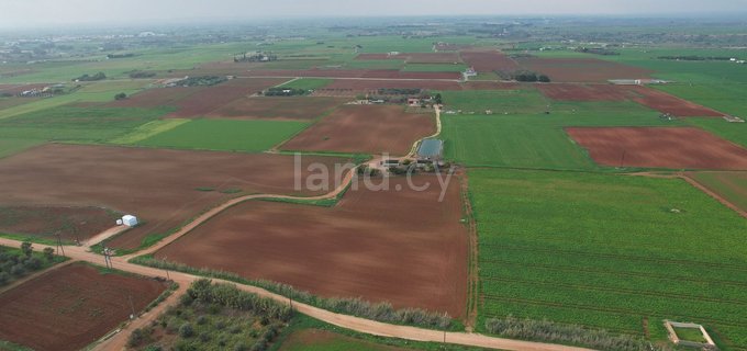 Agricultural field for sale in Avgorou