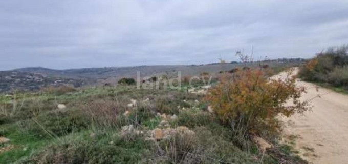 Landwirtschaftliches Baugebiet in Paphos zu verkaufen