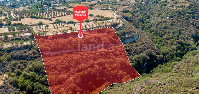 Landwirtschaftliches Baugebiet in Paphos zu verkaufen