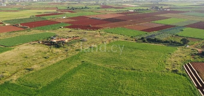 Landwirtschaftliches Baugebiet in Frenaros zu verkaufen