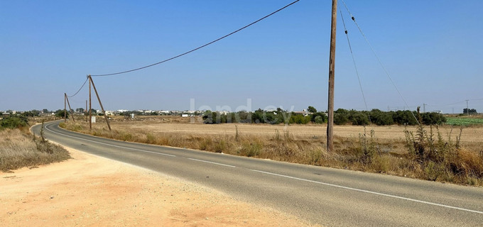 Agricultural field for sale in Frenaros