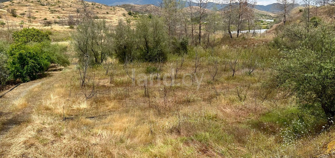 Landwirtschaftliches Baugebiet in Limassol zu verkaufen