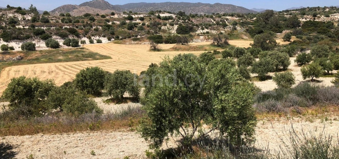 Agricultural field for sale in Limassol