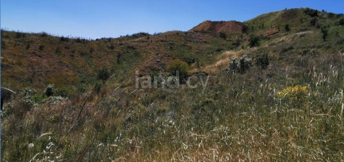 Agricultural field for sale in Nicosia