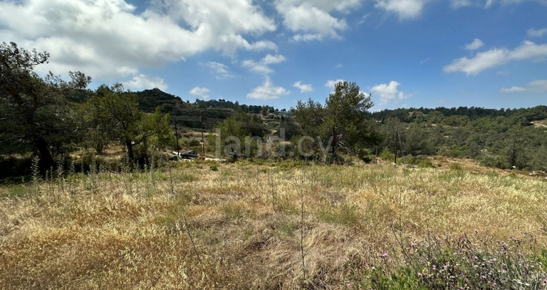 Agricultural field for sale in Limassol