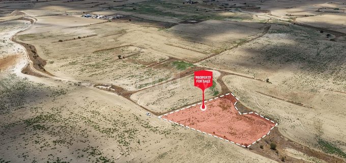 Agricultural field for sale in Nicosia