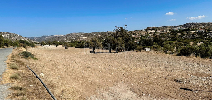 Terrain agricole à vendre à Larnaca