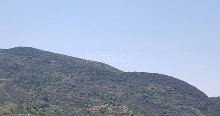 Terrain agricole à vendre à Limassol