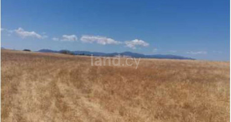 Terrain agricole à vendre à Nicosie
